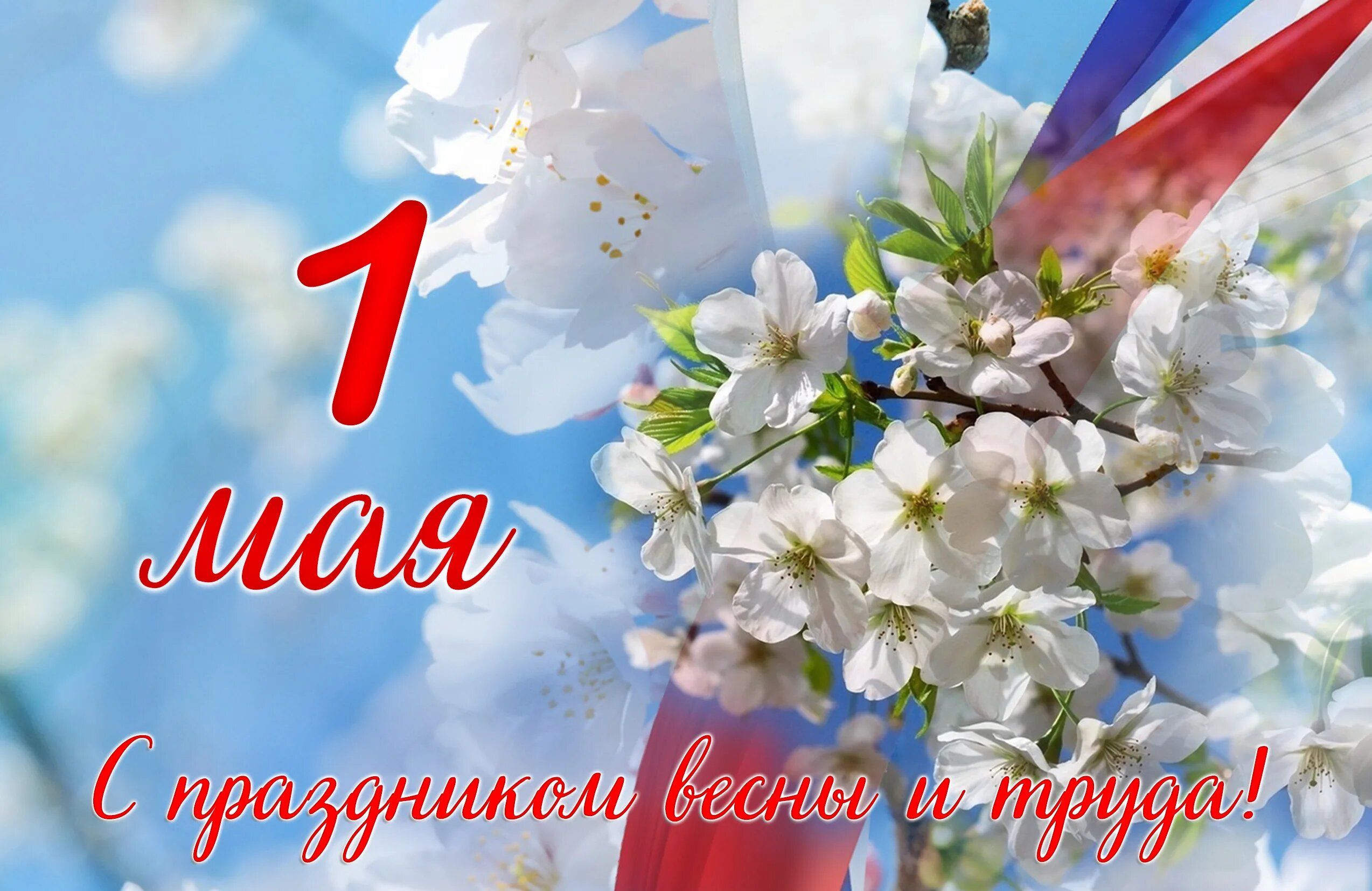 новость