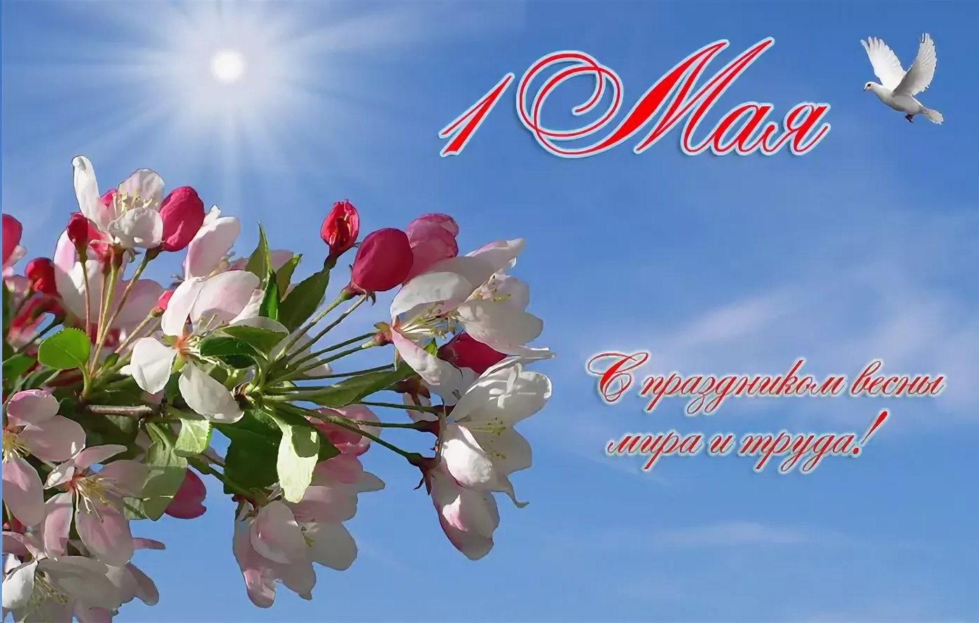 новость